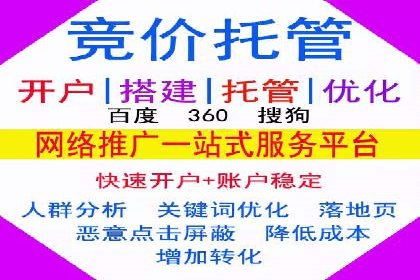 解析SEM代运营托管公司在市场竞争中的角色